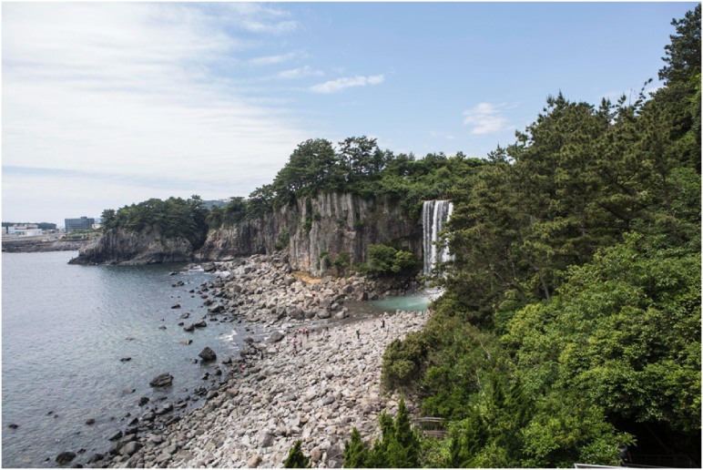 Culinary Adventures in Jeju Island: A Taste of Paradise for Female Gen-Z Travelers