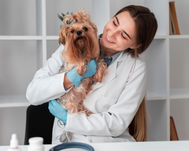 Pet Care Services