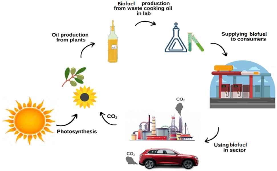 Biofuel Production Technology